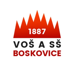 LOGO_VS_180899